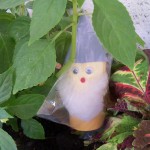 Gnome