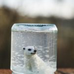 snow-globe